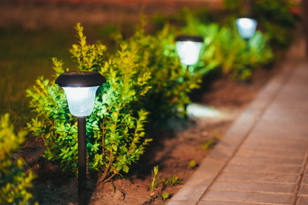 Decorative Small Solar Garden Light, Lanterns In Flower Bed In Green Foliage. Garden Design. Solar Powered Lamps In Row